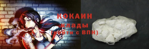 стаф Белокуриха