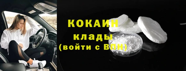 стаф Белокуриха