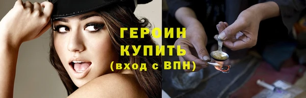 винт Галич