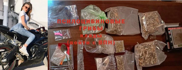 стаф Белокуриха