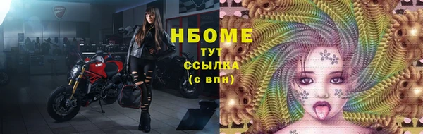 стаф Белокуриха