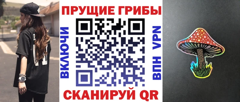 дарнет шоп  Буйнакск  Галлюциногенные грибы GOLDEN TEACHER 